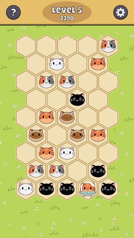 六角猫