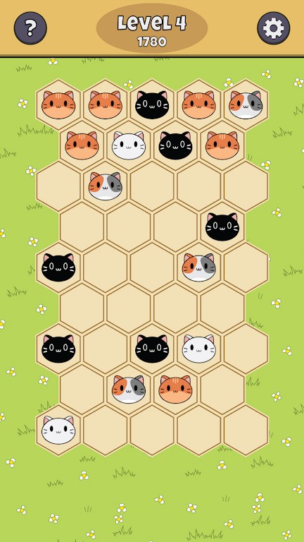 六角猫