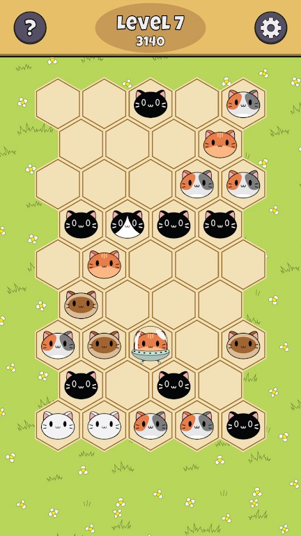 六角猫