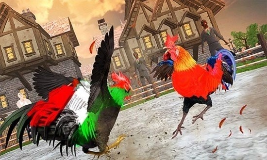 农场斗鸡2红包版