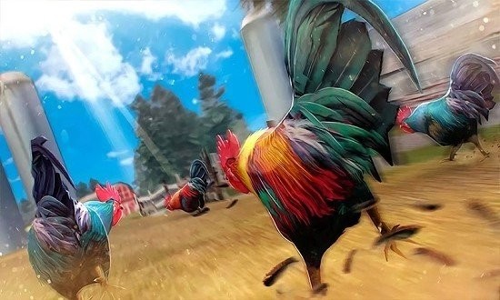 农场斗鸡2红包版