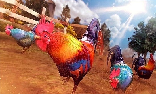 农场斗鸡2红包版