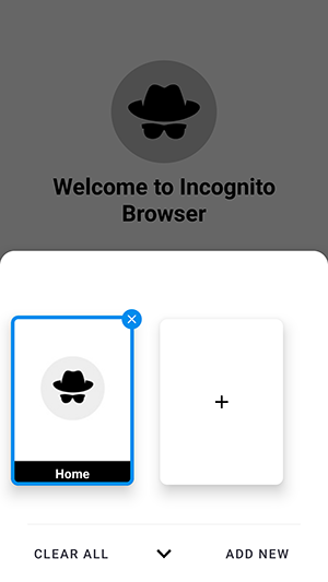 Incognito Browser匿名浏览器
