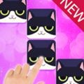 魔术猫钢琴砖