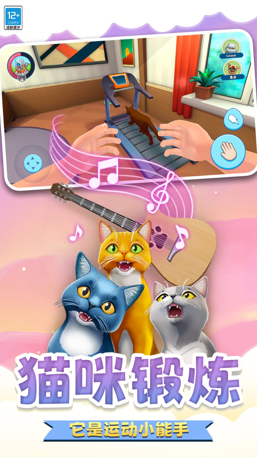 瞌睡猫玩乐时间