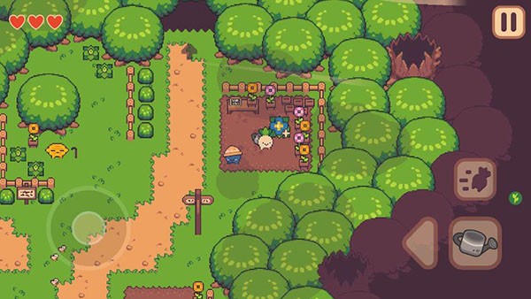 逃税的萝卜男孩