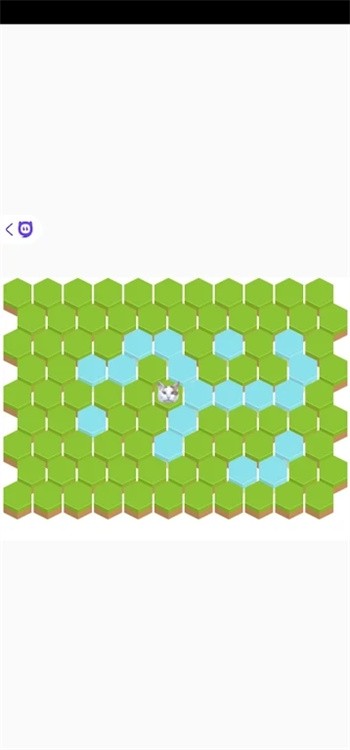 抓住你的逃走的猫