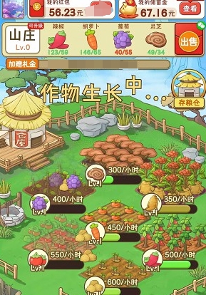 王大锤的乡村人生