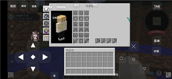 我的世界呱太神奇宝贝