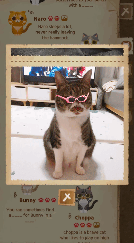 猫咪的秘密森林