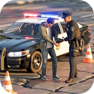 美国警车追逐驾驶（国际服）