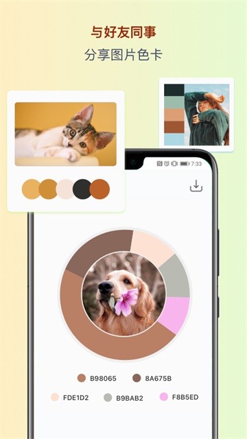 色采(ColorCollect)