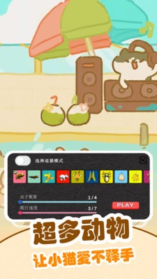 逗猫游戏