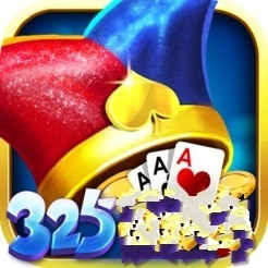 325正版游戏最新版