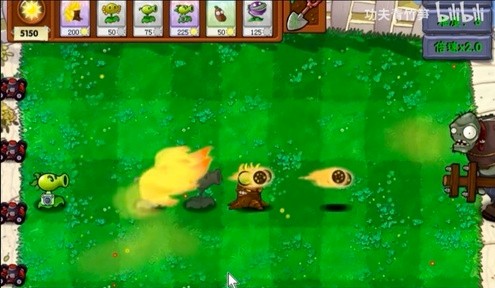 植物大战僵尸资本家版