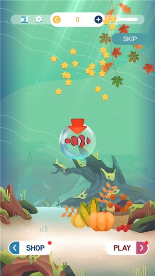 我的小水族馆