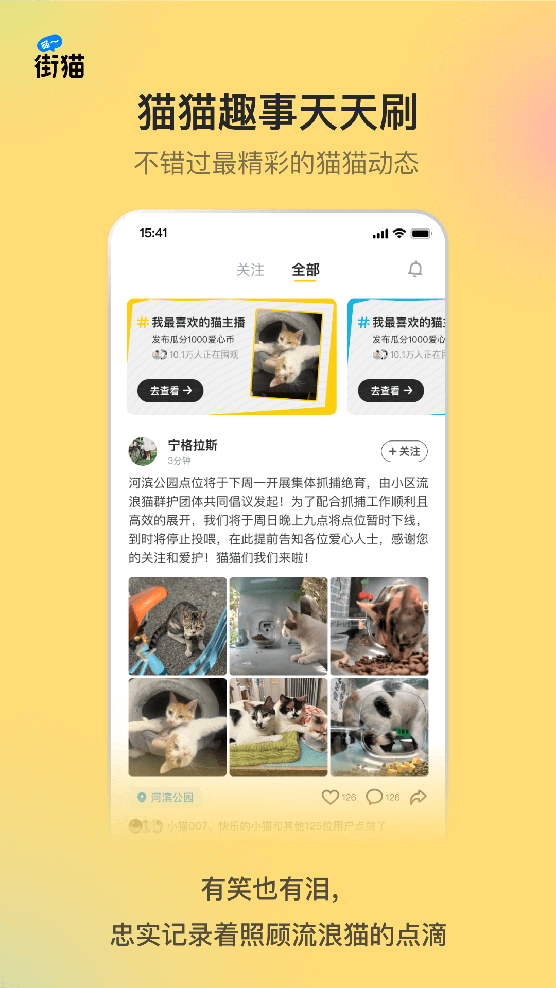 哈啰街猫