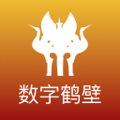 数字鹤壁