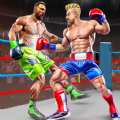 超级拳击对决