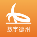 数字德州