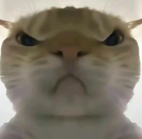 三角洲行动鼠鼠工具