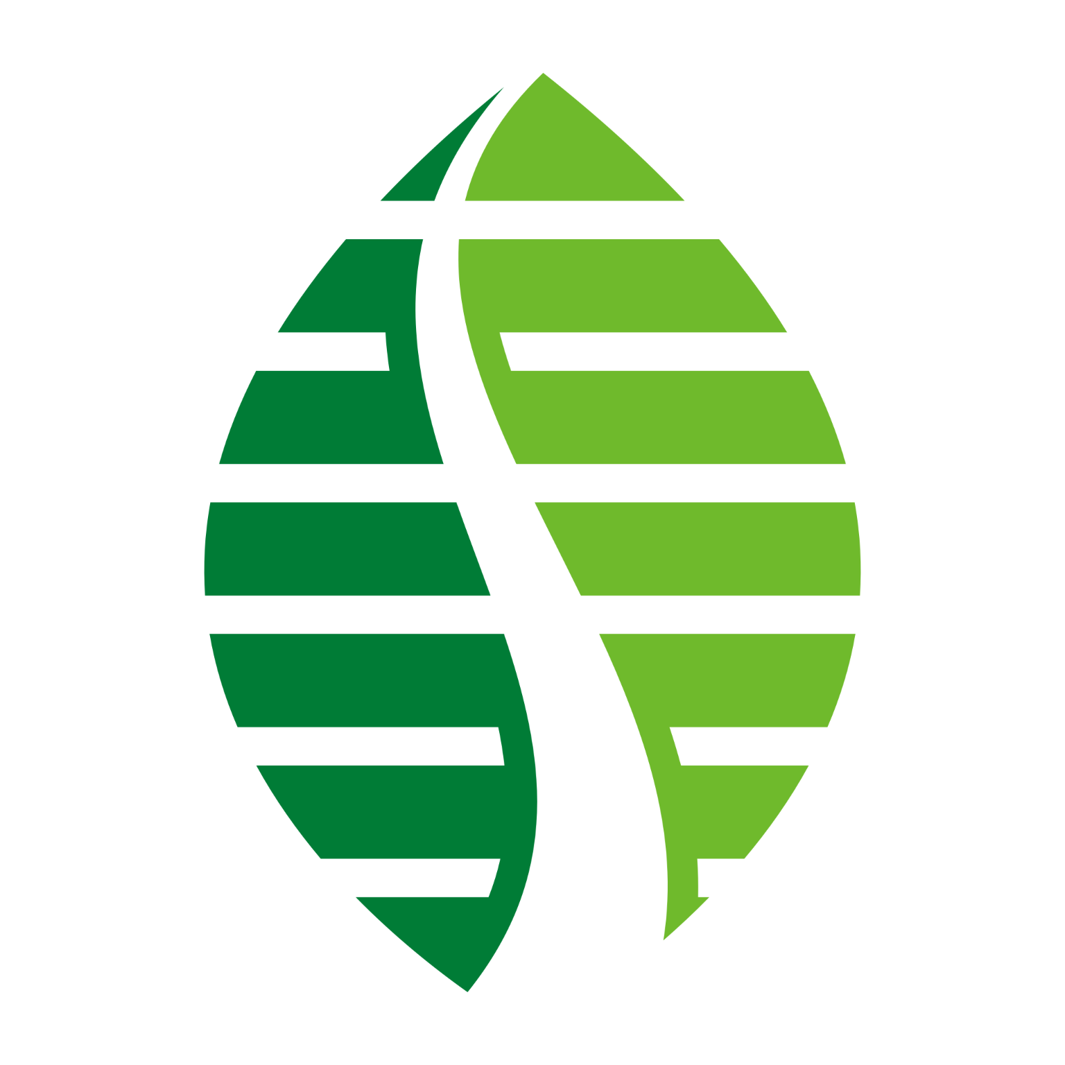 雄安行