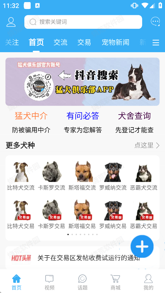 猛犬俱乐部