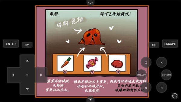 家养宠物