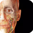 人体解剖学图谱