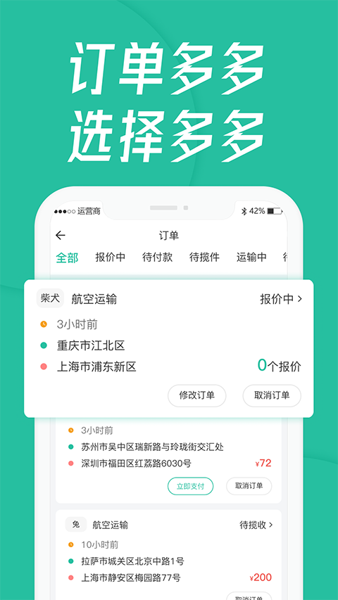 宠贝贝宠物托运