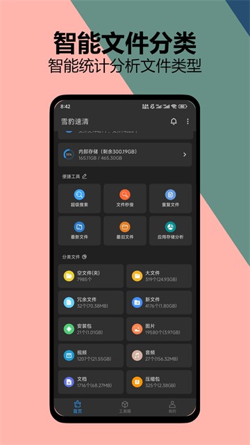 雪豹清理大师