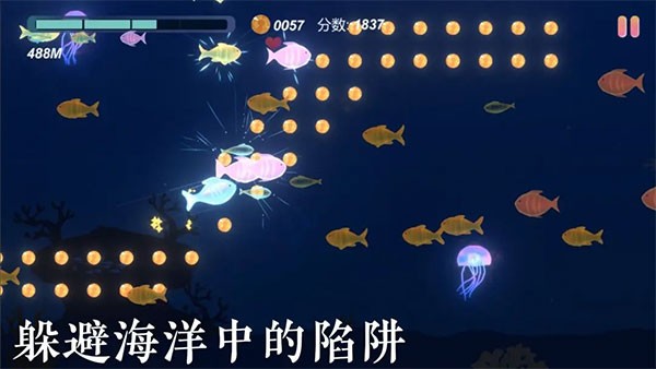 小鱼游戏