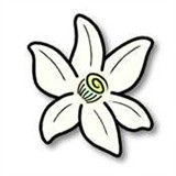 azaharplus模拟器