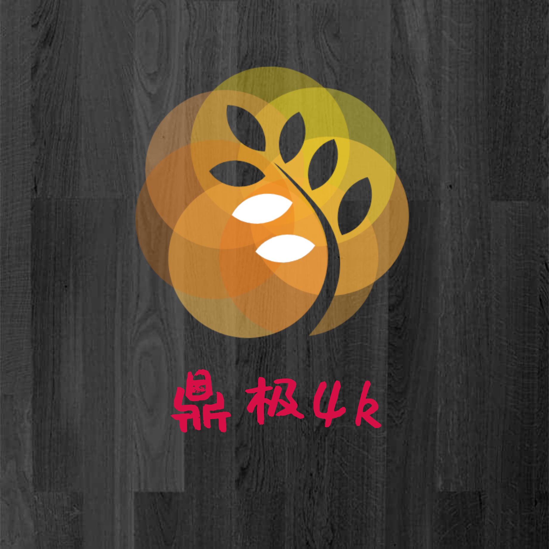 鼎极4k