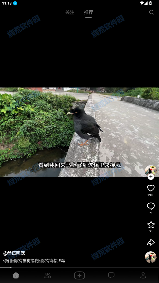 抖音随变