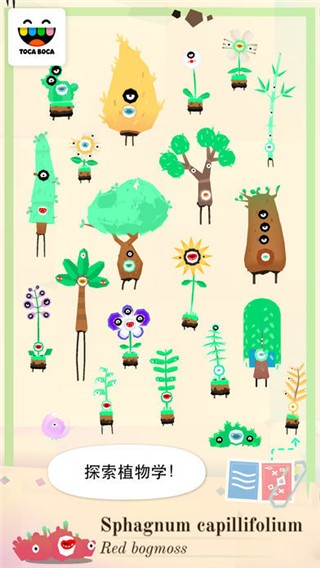 托卡实验室:植物