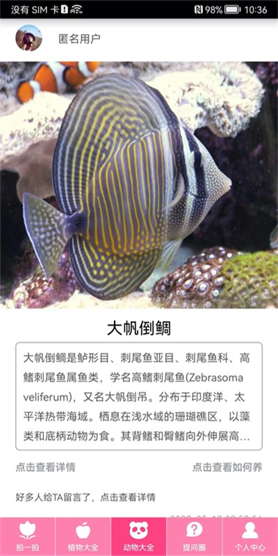 野外草药识别app(拍照识物)