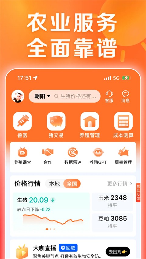 正大猪博士