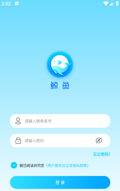 鲸鱼