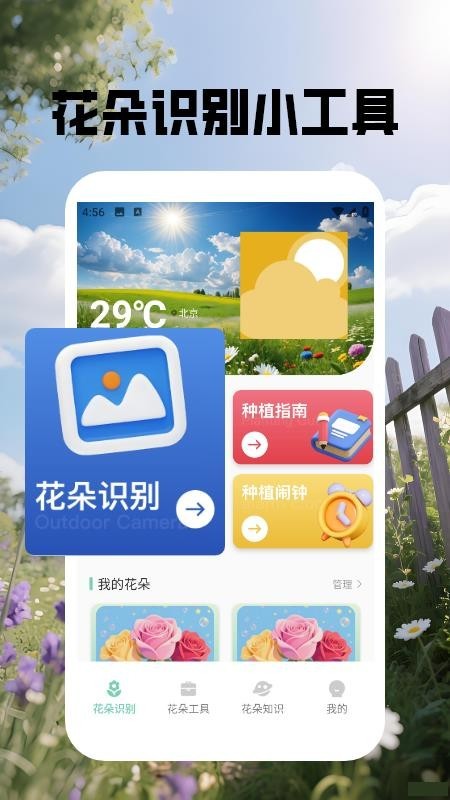 花朵物语识别