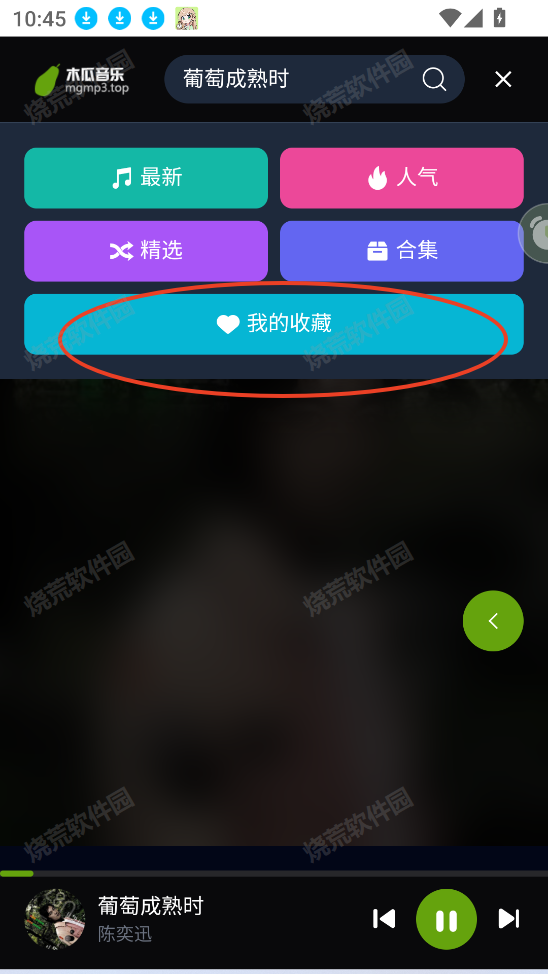 木瓜音乐