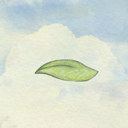 风子游戏Miss Wind
