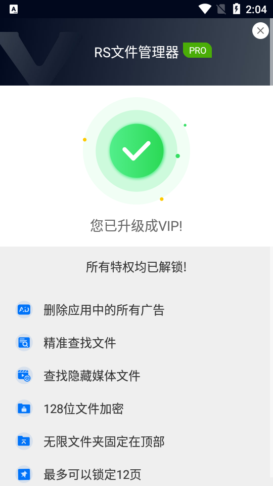 RS文件管理器