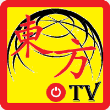 东方tv电视版
