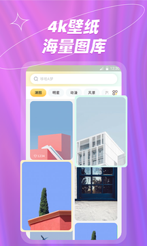 炫彩桌面app