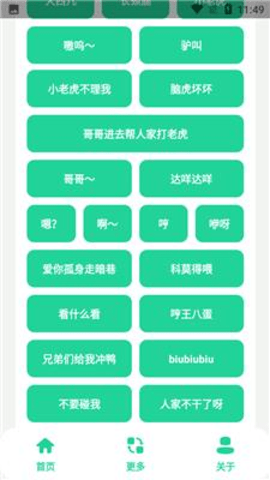 夹音盒免广告版