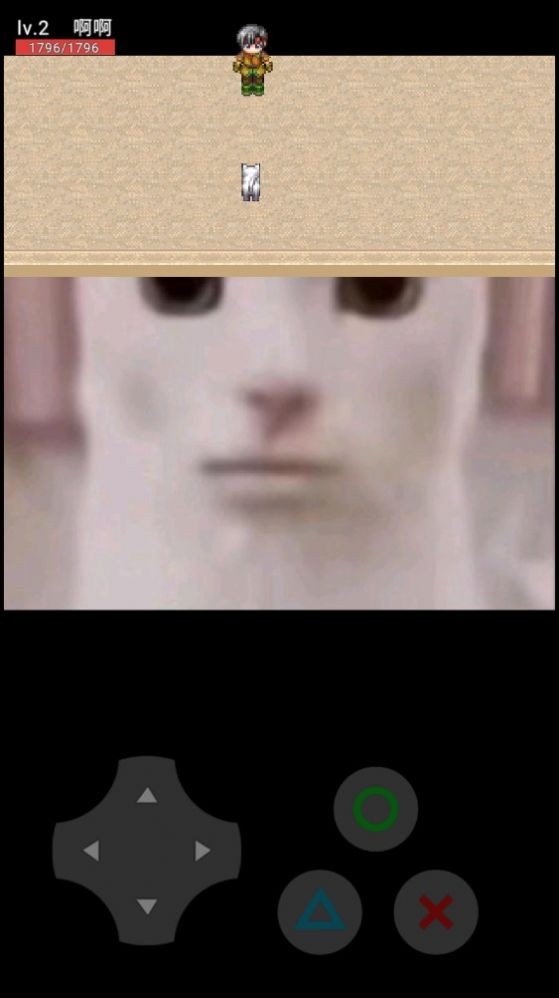 猫咪惊魂汉化版