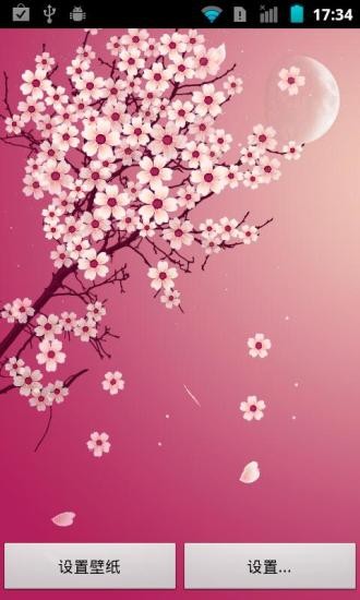 浪漫樱花动态壁纸