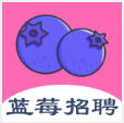 蓝莓招聘app