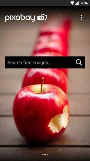 pixabay视频素材网手机版APP